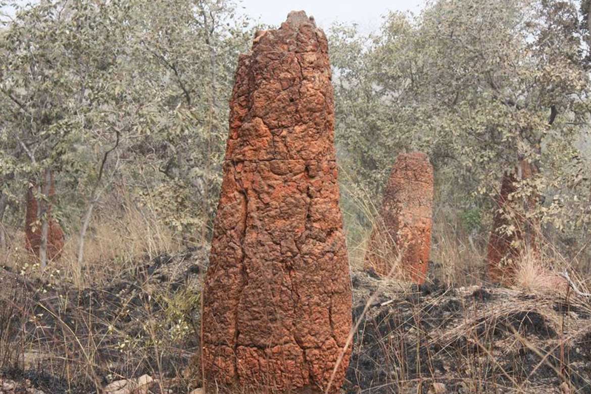 Stele of Kaba at Natitingou
