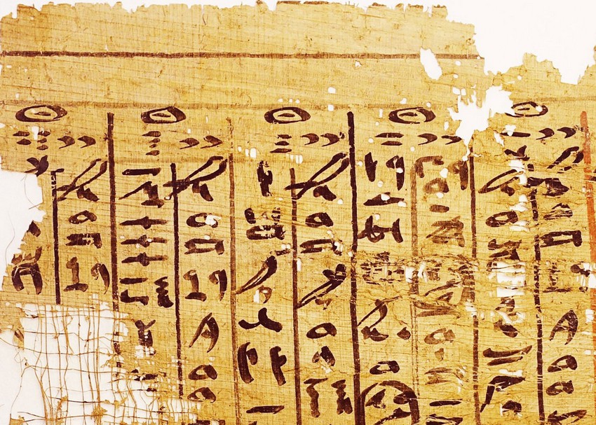 A fragment of papyrus found in front of one of the galleries. (Pierre Tallet)